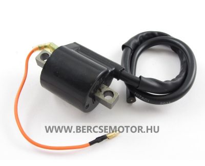 Gyújtó trafó Yamaha Jog / Aerox / Aprilia Sr Minarelli