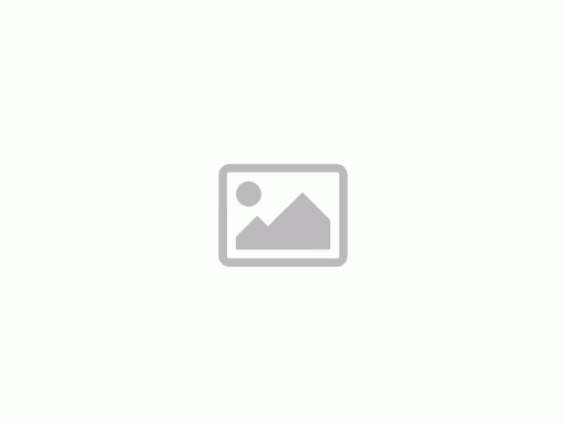 Szimering 25x72x7 Viton duplafalú Etz 250 - német