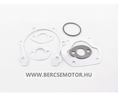 Tömítés készlet Robi 55